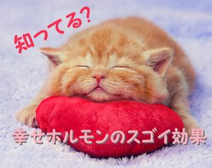 幸せホルモンとは？セロトニンのすごい効果