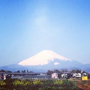 祝４周年。今年も幸せホルモンいっぱいの一年になりますように