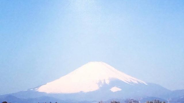 祝４周年。今年も幸せホルモンいっぱいの一年になりますように