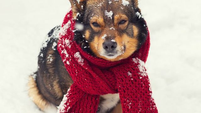 使い捨てカイロの危険な５つの理由～冷え性さん必見！