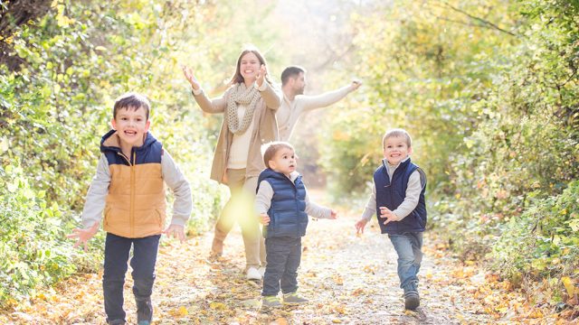 タッチケアで自分と家族の健康を守る方法