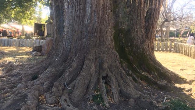 グラウンディングとは
