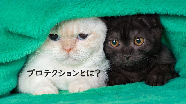 気疲れしない方法～プロテクションのやり方